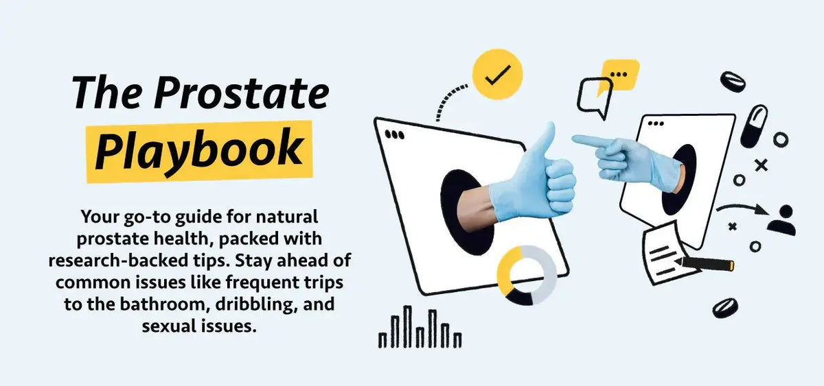 The Prostate Playbook Lifeworks Integrative Health