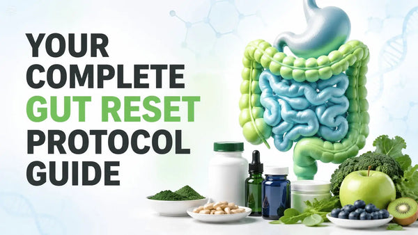 Your Complete Gut Reset Protocol Guide – Dr. Matt Gianforte