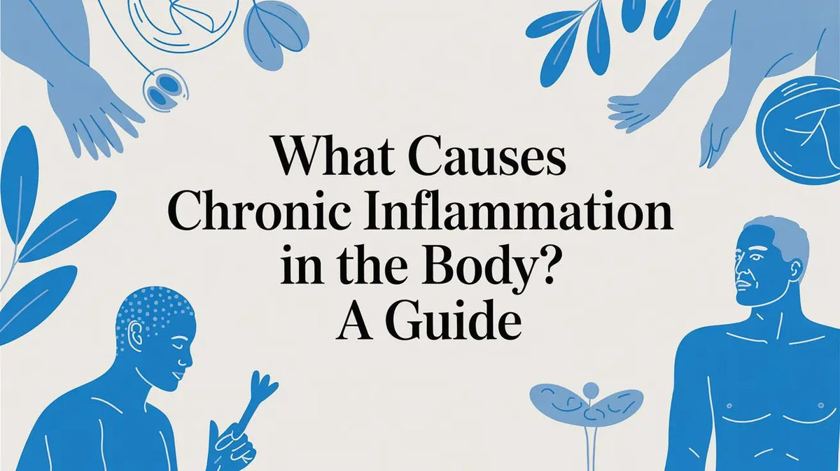 What Causes Chronic Inflammation in the Body? A Guide Lifeworks Integrative Health