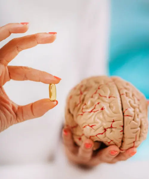 Brain & Mood Lifeworks Integrative Health