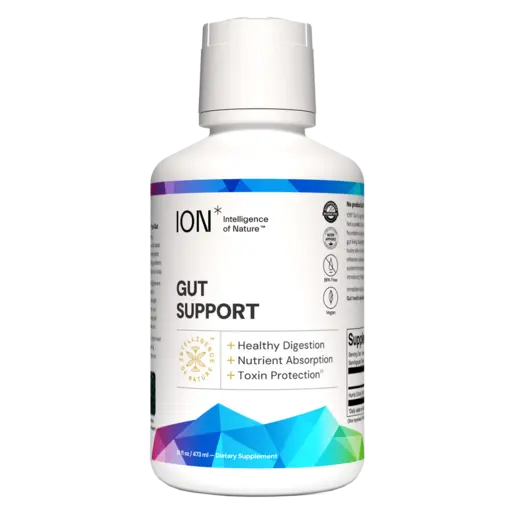 ION* Gut Support 32 fl oz