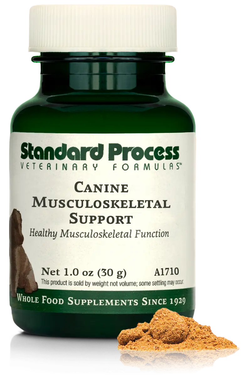 A bottle of Canine Musculoskeletal Support, a powder supplement for dogs’ muscles, ligaments and bone health, next to an image of the powder supplement.