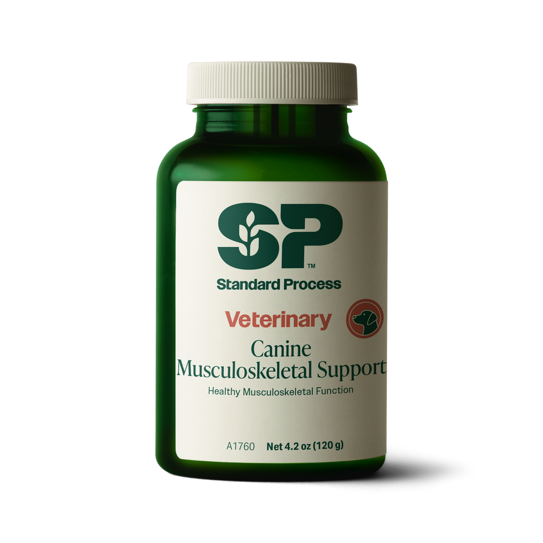 A bottle of Canine Musculoskeletal Support, a powder supplement for dogs’ muscles, ligaments and bone health, next to an image of the powder supplement.