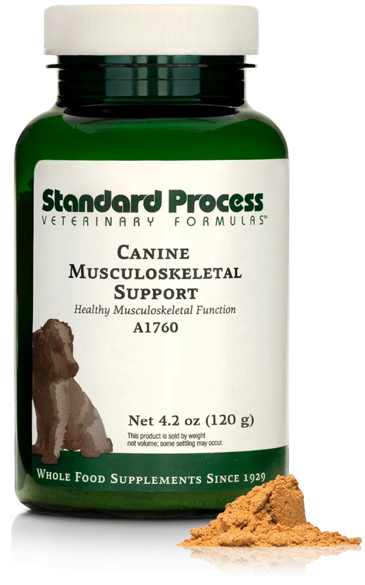 A bottle of Canine Musculoskeletal Support, a powder supplement for dogs’ muscles, ligaments and bone health, next to an image of the powder supplement.