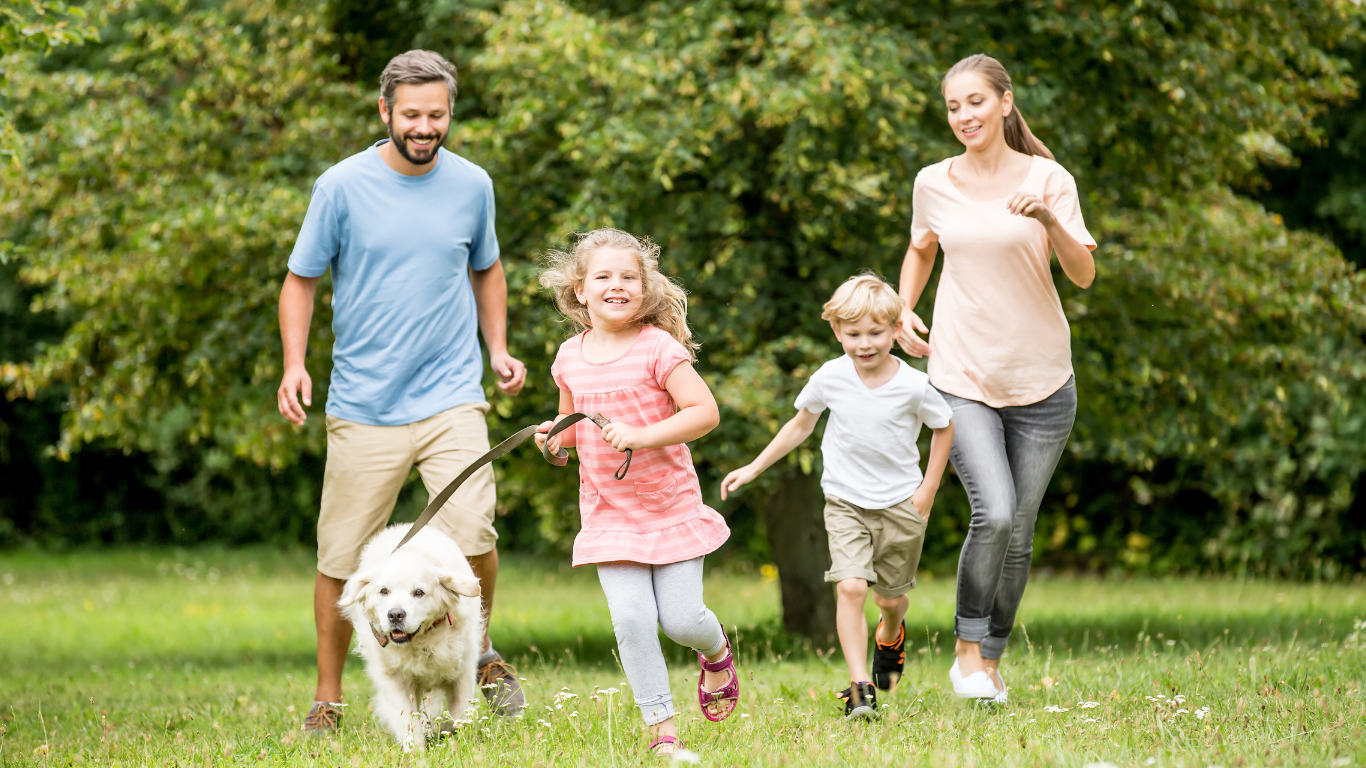 Immune support supplements for natural immune system strengthening, illness prevention, and faster recovery