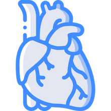 Cardiovascular risk factors