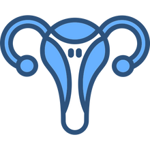 Perimenopause and menopause symptoms
