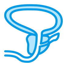 Prostate concerns