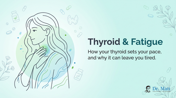 Thyroid-Related Fatigue